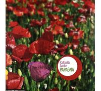 Raffaella Aprile - Papagna