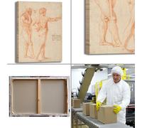 Raffaello studi di nudo design quadro stampa tela dipinto telaio arredo casa