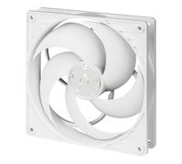 Arctic P14 PWM PST (white / white)