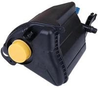 Raffreddamento del veicolo per radiatore Serbatoio del liquido di raffreddamento per serbatoio Acqua per radiatore Espansione per BMW per parti del motore