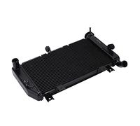 Raffreddamento radiatore Brilluxa, radiatore dell'olio di trasmissione, compatibile con CMX 300 500 CRF 250L MSX 125 SF GROM, di raffreddamento in moto, gruppo radiatore in lega