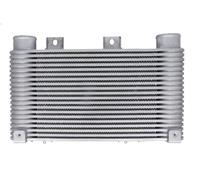 Raffreddatore dell'aria di sovralimentazione AVA COOLING MZA4250