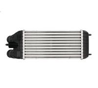 Raffreddatore dell'aria di sovralimentazione MAGNETI MARELLI per 207 1.6 2007-