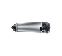 Raffreddatore dell'aria di sovralimentazione MAHLE CI 617 000P per X2 2 2017-
