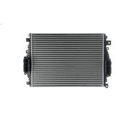 Raffreddatore dell'aria di sovralimentazione MAHLE per XF I (X250) 2.2 2012-2015