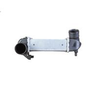Raffreddatore dell'aria di sovralimentazione NRF 30015 per A6 C6 (4F2) 2 2005-