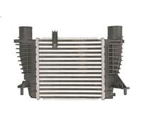 Intercooler THERMOTEC DA1003TT