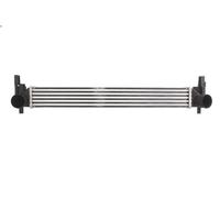 Thermotec Intercooler DAA005TT per Audi, SEAT, SKODA, VW