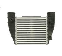 Raffreddatore dell'aria di sovralimentazione THERMOTEC DAA016TT A4 B7 2 2004-