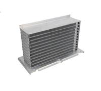 Raffreddatore dell'aria di sovralimentazione THERMOTEC DAA021TT A3 1.2 2010-2012