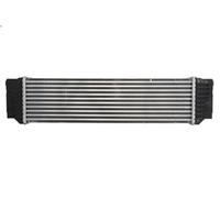 Raffreddatore dell'aria di sovralimentazione THERMOTEC DAB017TT per 5 3 2010-