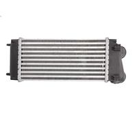 Raffreddatore dell'aria di sovralimentazione THERMOTEC DAC004TT 307 1.6 2004-