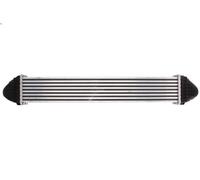 Raffreddatore dell'aria di sovralimentazione THERMOTEC DAM007TT 2 2005-