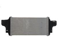 Raffreddatore dell'aria di sovralimentazione THERMOTEC DAM028TT CLASSE M 3 2005-