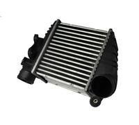 Raffreddatore dell'aria di sovralimentazione THERMOTEC DAW001TT A3 1.8 1996-2003