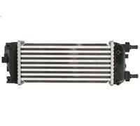 Intercooler THERMOTEC DAF015TT