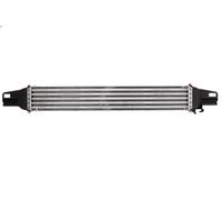 Thermotec Intercooler DAC008TT per Fiat Qubo 1.3 D Multijet (2008-)