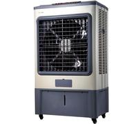 Raffreddatore di Aria Evaporativo per L'Industria dei Condizionatori d'Aria, 3 velocità, Serbatoio Acqua 45 L, Garage, Magazzino, Ventilatori per Supermercati 250w