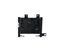 Raffreddatore D'Olio Per Hyundai Santa Fe