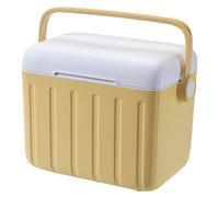 Raffreddatore isotermico | 6L Raffreddatore da picnic, borsa isotermica con accumulatore freddo per pollo, auto da campeggio picnic divisa in litri divisi, conservazione di O.