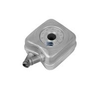 DT Spare Parts 11.13026 Radiatore olio motore