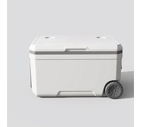 Raffreddatore portatile con ruote, doppia funzione di raffreddamento e riscaldamento, include 10 impacchi di ghiaccio, isolamento durevole per 48 ore di freschezza