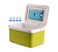 Raffreddatore portatile isolato serie Chiller, refrigeratore rigido con ritenzione del ghiaccio, refrigeratore portatile isolato per campeggio, piccola scatola refrigerante con manico, capacità 15 l