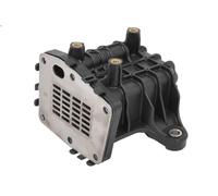 Raffreddatore, ricircolo dei gas di scarico HITACHI 2505959 per DS5 2 2014-2015