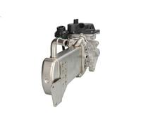 Raffreddatore, ricircolo dei gas di scarico MAGNETI MARELLI AMAROK 2 2010-2013