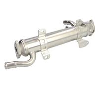 Raffreddatore, ricircolo dei gas di scarico MAGNETI MARELLI per A3 (8P1) 2 2003-