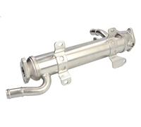 Raffreddatore, ricircolo dei gas di scarico MAGNETI MARELLI per A3 (8P1) 2 2004-