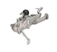 Raffreddatore, ricircolo dei gas di scarico NISSENS 989273 per DS5 1.6 2011-2015
