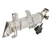 Raffreddatore, ricircolo dei gas di scarico NISSENS 989287 per LATITUDE 2 2011-