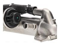 Raffreddatore, ricircolo dei gas di scarico NISSENS 989576 per RANGER 2.2 2011-