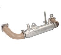 Raffreddatore, ricircolo dei gas di scarico NRF 48010 MUSA (350_) 1.9 2004-2012