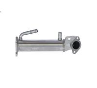Raffreddatore, ricircolo dei gas di scarico NRF 48014 TRANSIT Furgone 2.2 2011-