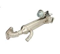 Raffreddatore, ricircolo dei gas di scarico NRF 48313 per TOUAREG 2.5 2003-