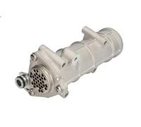 Raffreddatore, ricircolo dei gas di scarico NRF 48378 per BOXER Autobus 3 2006-