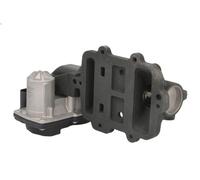 Raffreddatore, ricircolo dei gas di scarico NRF 48676 per TGE Furgone 2 2017-