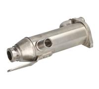 Radiatore gas di scarico 48420 NRF per LAND ROVER RANGE ROVER SPORT I