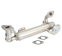 Raffreddatore, ricircolo dei gas di scarico per DAILY IV Furgone 3 2009-2011