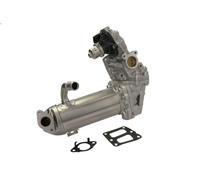 Raffreddatore, ricircolo dei gas di scarico PIERBURG 7.06036.14.0 EDGE 2 2018-