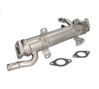 Raffreddatore, ricircolo dei gas di scarico PIERBURG 7.09730.04.0 per A3 2 2004-