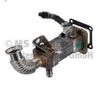 Raffreddatore, ricircolo dei gas di scarico PIERBURG LAGUNA II 1.9 2001-2007