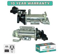 Raffreddatore Valvola EGR D2P Per Renault Megane MK2 Scenic MK2 Trafic MK2