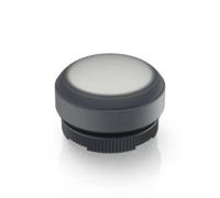 RAFI 1.30.270.005/2201 E-BOX IO-LINK Pulsante illuminato Momentaneo (L x L x A