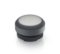 RAFI 1.30.270.005/2201 E-BOX IO-LINK Pulsante illuminato Momentaneo (L x L x A