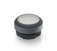 RAFI 1.30.270.005/2201 E-BOX IO-LINK Pulsante illuminato Momentaneo (L x L x A)