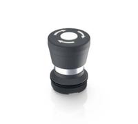 RAFI 1.30.276.001/2200 RAFIX 22 FS Interruttore a pressione a fungo Permanente