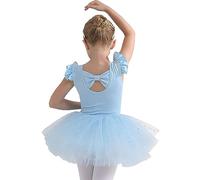 Ragazza Vestito da Balletto Gonne tutù per Ragazze in Tulle a 4 Strati Body per Danza tutù da Balletto Leotard Vestito Ginnastica Manica Corta Ballerina Bambina Body,110, Blue